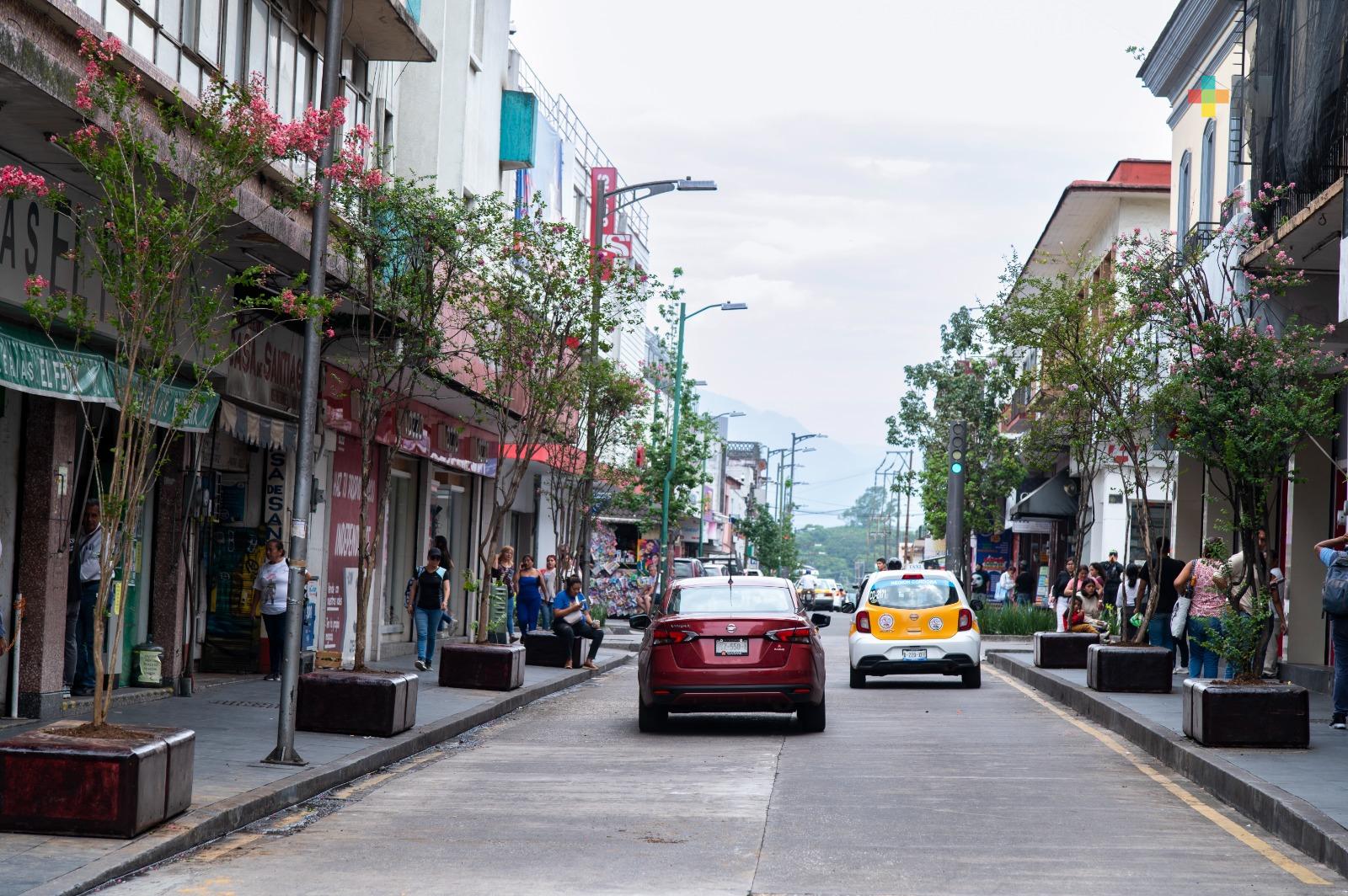 En Córdoba inició la reforestación en calles del centro de la ciudad