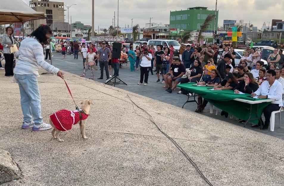 Realizan concurso altruista en beneficio de mascotas, en Coatzacoalcos