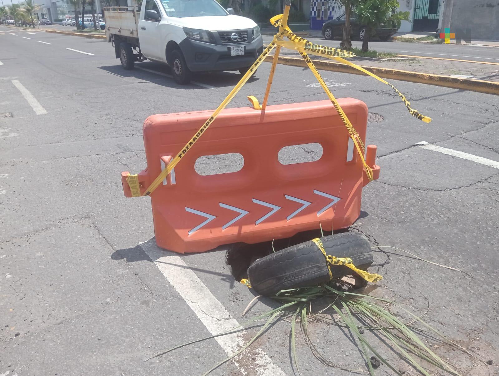 Reportan hundimiento en avenida La Fragua de Veracruz puerto
