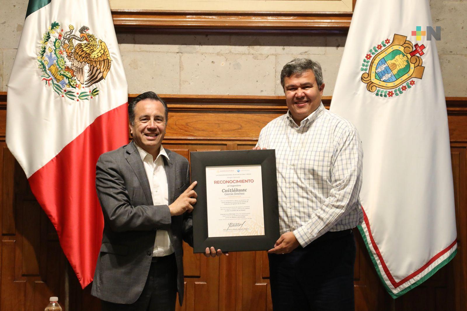 Veracruz, quinto lugar nacional en producción y valor pesquero