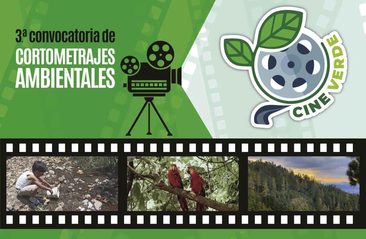 Continúa abierta convocatoria para cortometrajes ambientales 2024: Sedema