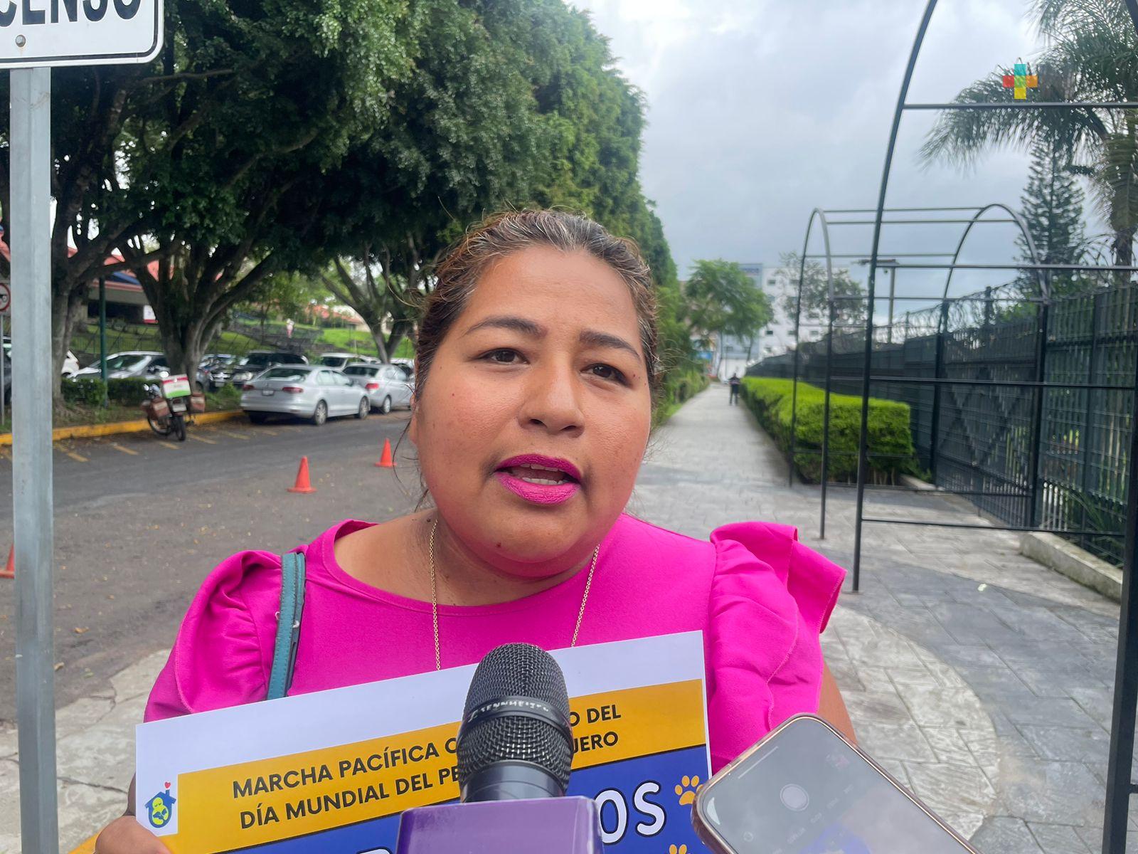 Por Día Mundial del Perro Callejero marcharán el sábado 27 de julio en Xalapa