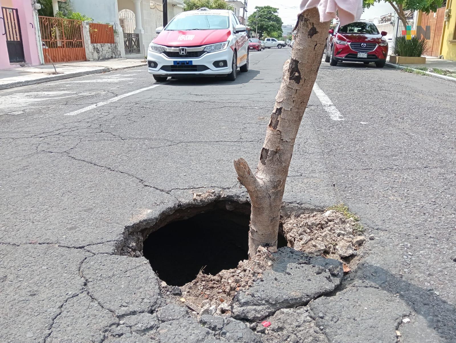 Hundimiento afecta avenida Carranza de Veracruz puerto