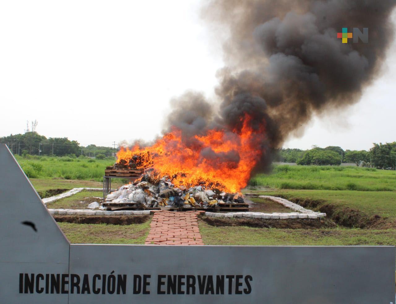 FGR incinera más de una tonelada de droga en Veracruz