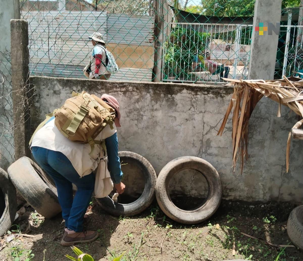 Este 2025 se han registrado 15 casos de dengue en Xalapa; funciona descacharrizar