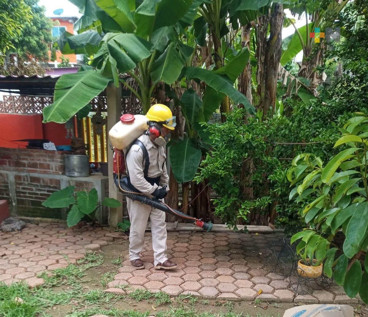 Fortalece Veracruz combate al mosquito trasmisor del dengue