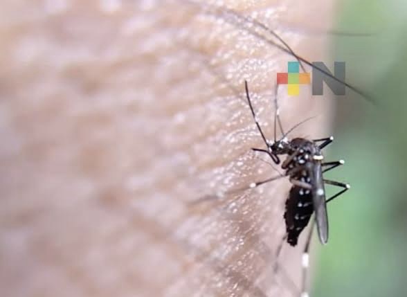 IMSS pide a población evitar automedicación con sintomatología de dengue