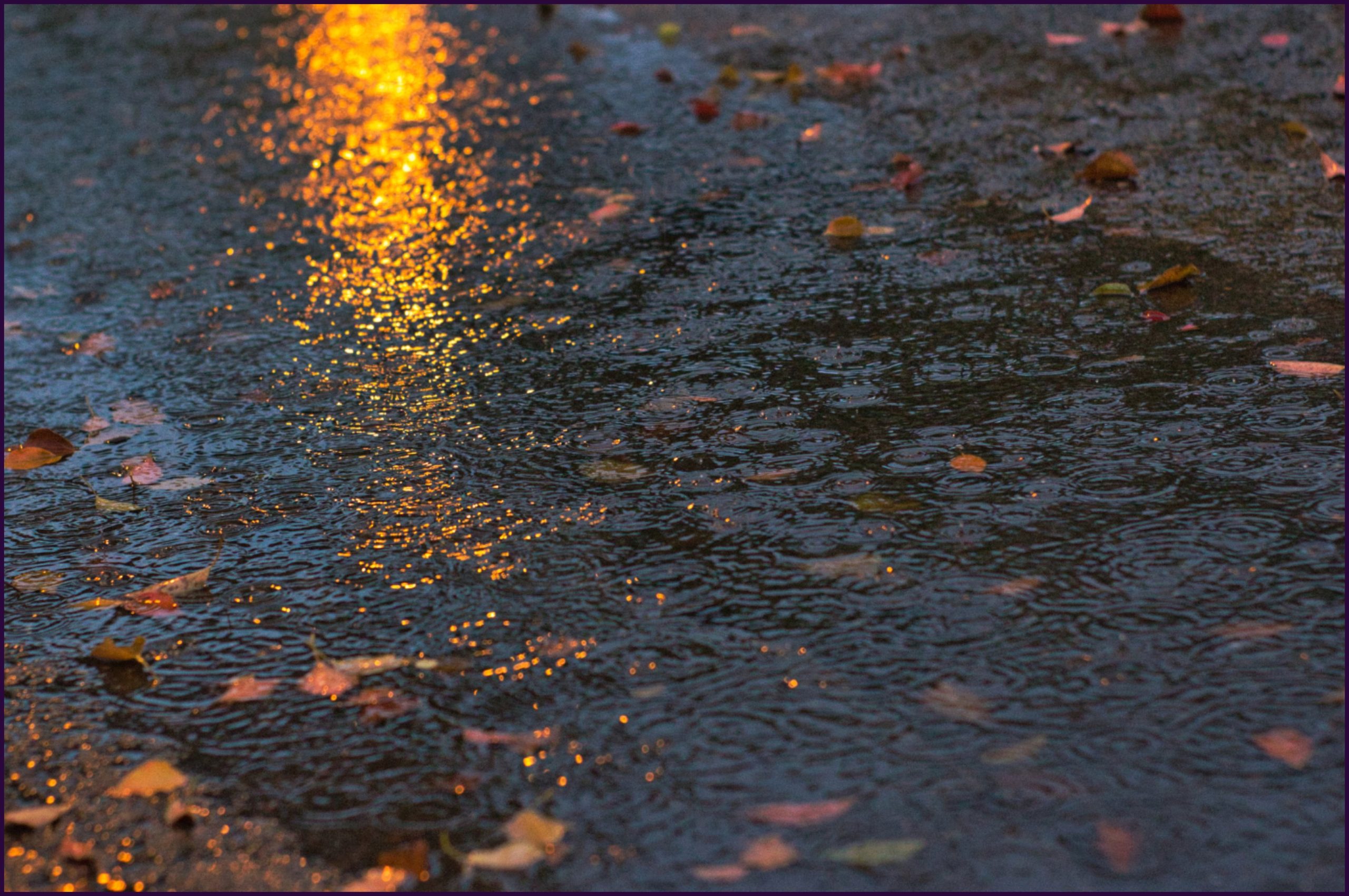 Incrementa potencial de lluvias en Veracruz