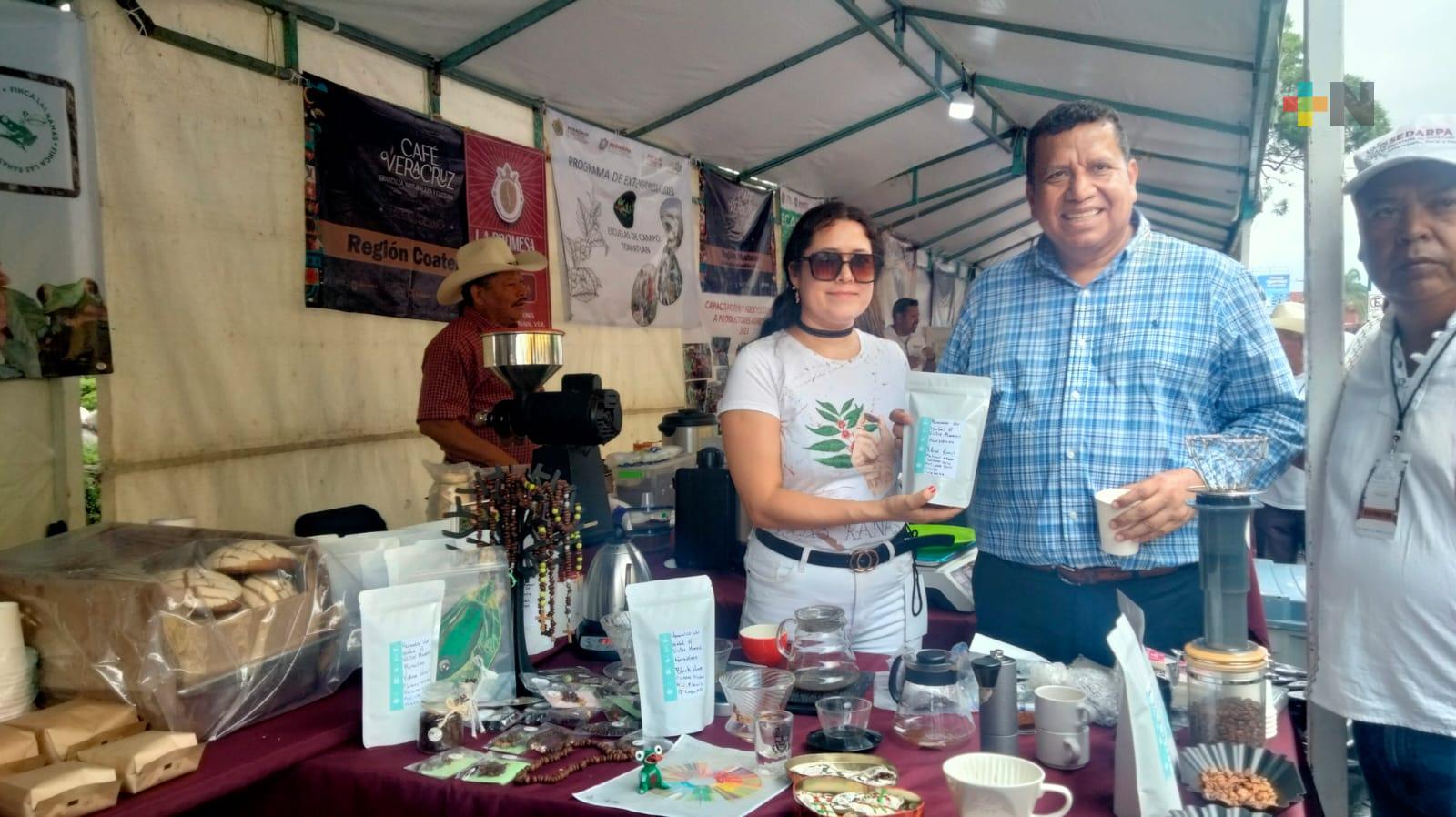 Distinguen a Veracruz a nivel nacional e internacional sus 10 regiones cafetaleras: Sedarpa