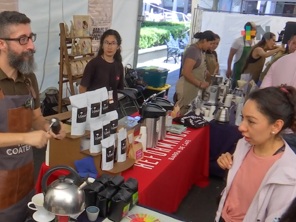 Segundo Festival Café Veracruz inicia en Xalapa; participan 180 expositores
