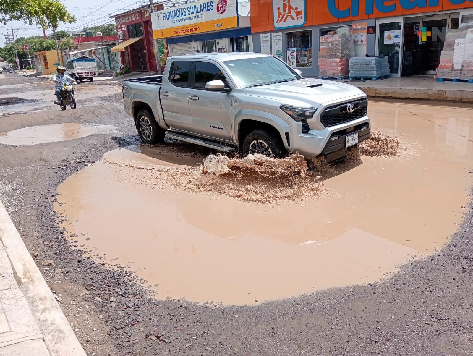 Aumentan baches en calle Madre Selva de Veracruz puerto, piden se atiendan