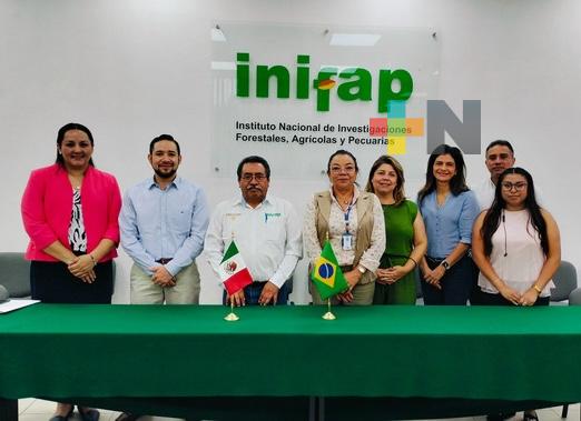 México y Brasil impulsarán proyectos científicos y tecnológicos agrícolas