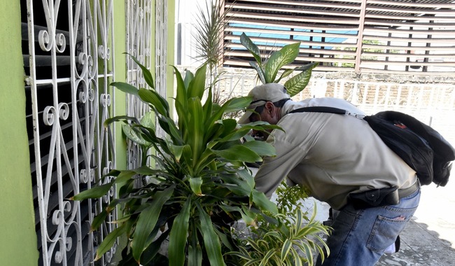 Ante síntomas de dengue, debe solicitar atención médica oportuna: Secretaría de Salud