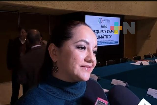 Realizan foro “Bosques y mercados voluntarios de carbono en la legislación climática”