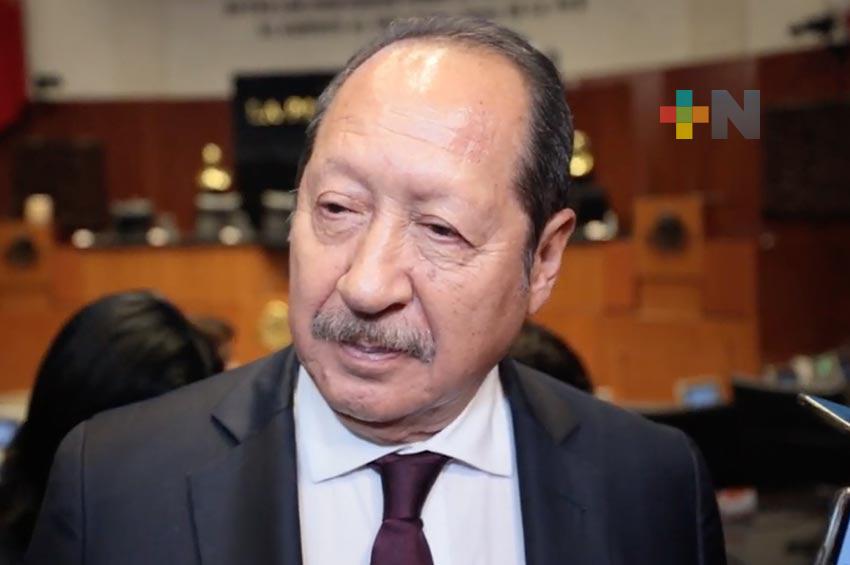 INE asignará a las y los diputados federales conforme a la Constitución: Leonel Godoy