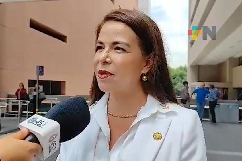 Diputada impulsará programas sociales para las mujeres y la niñez, así como la reforma al Poder Judicial