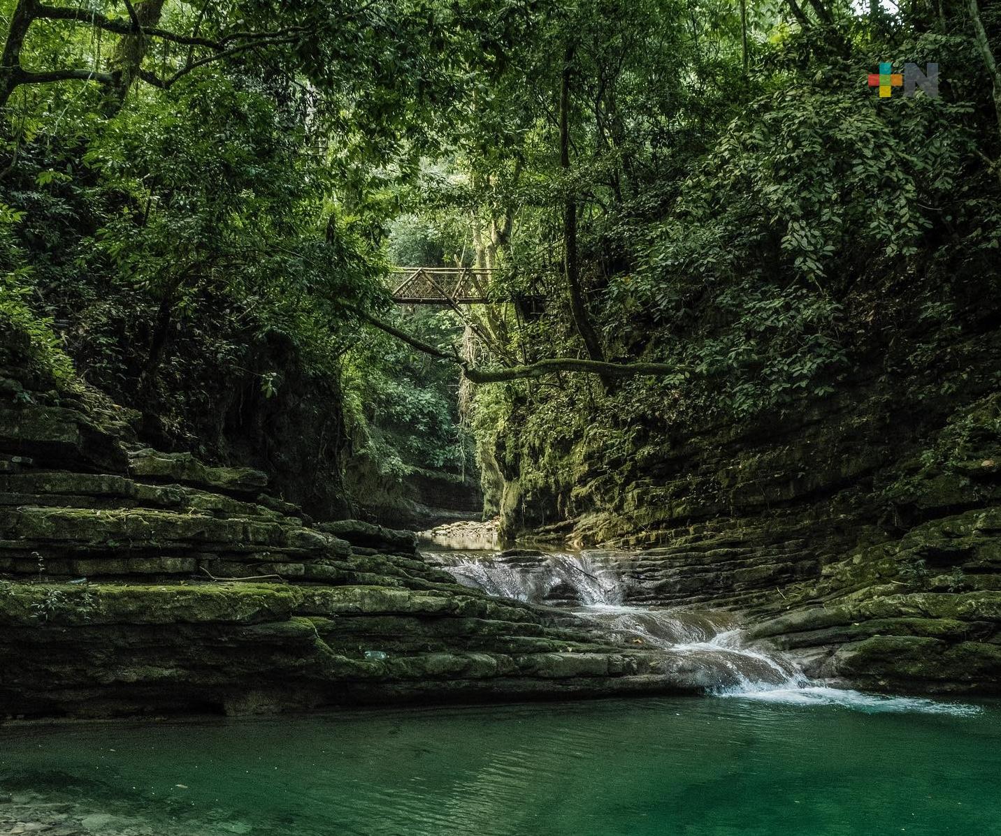 En el estado domina un jueves despejado a medio nublado con probables lluvias al sur