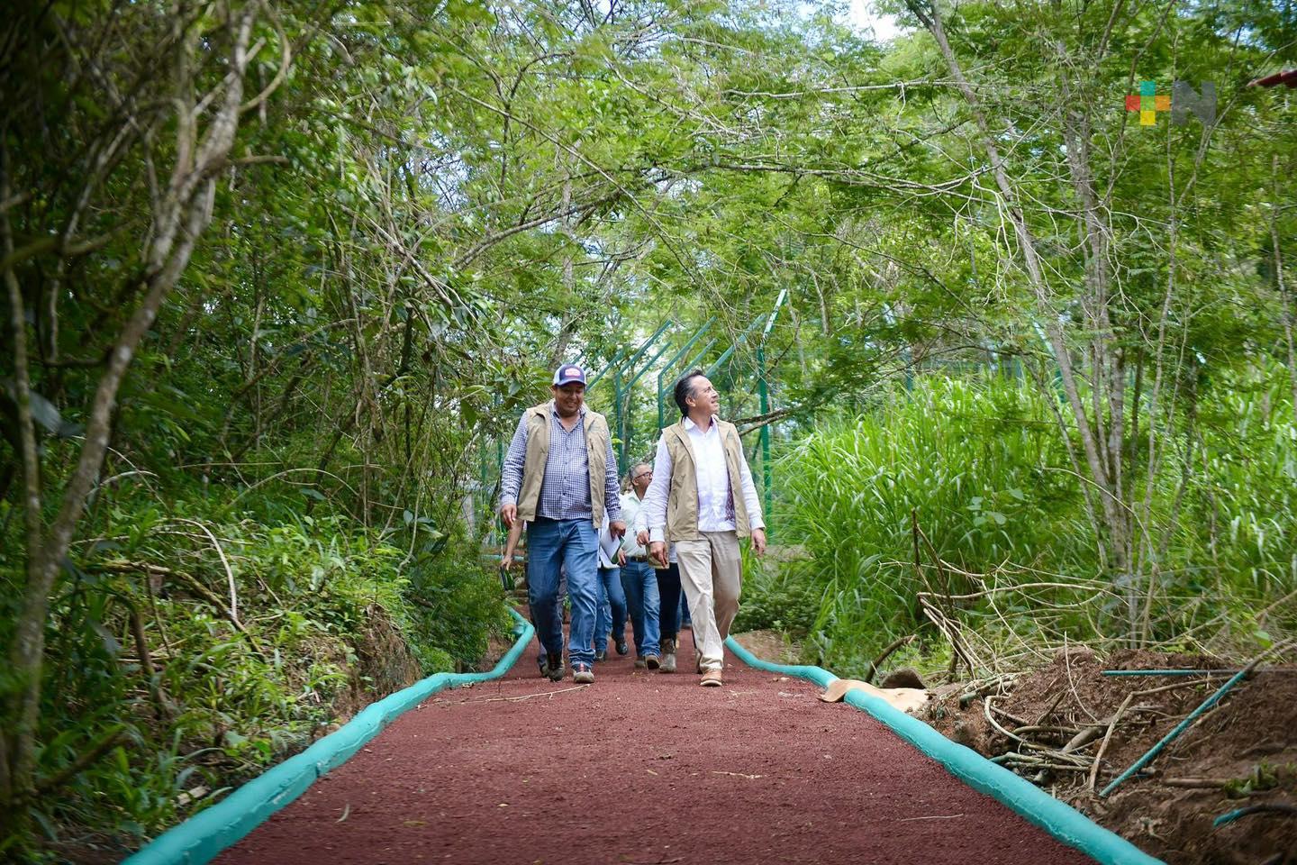 Naturalia recuperará la vida animal silvestre, nuevo destino para visitantes de Xalapa