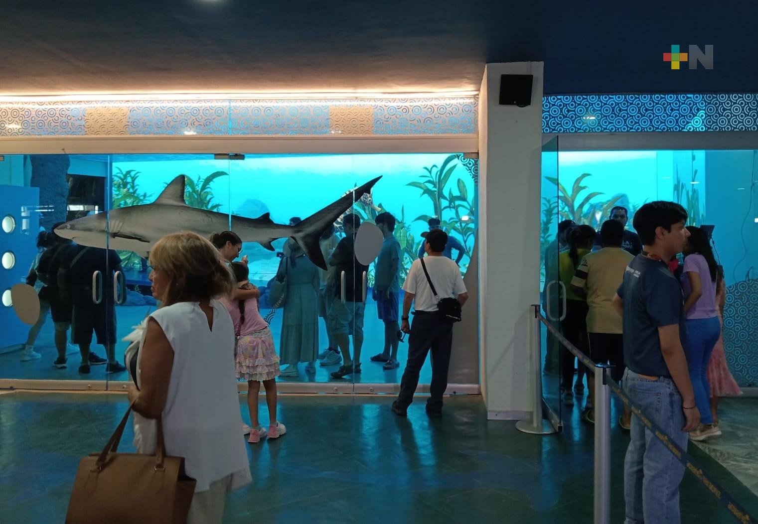 Estudiantes veracruzanos con credencial vigente tendrán descuento para visitar Aquarium