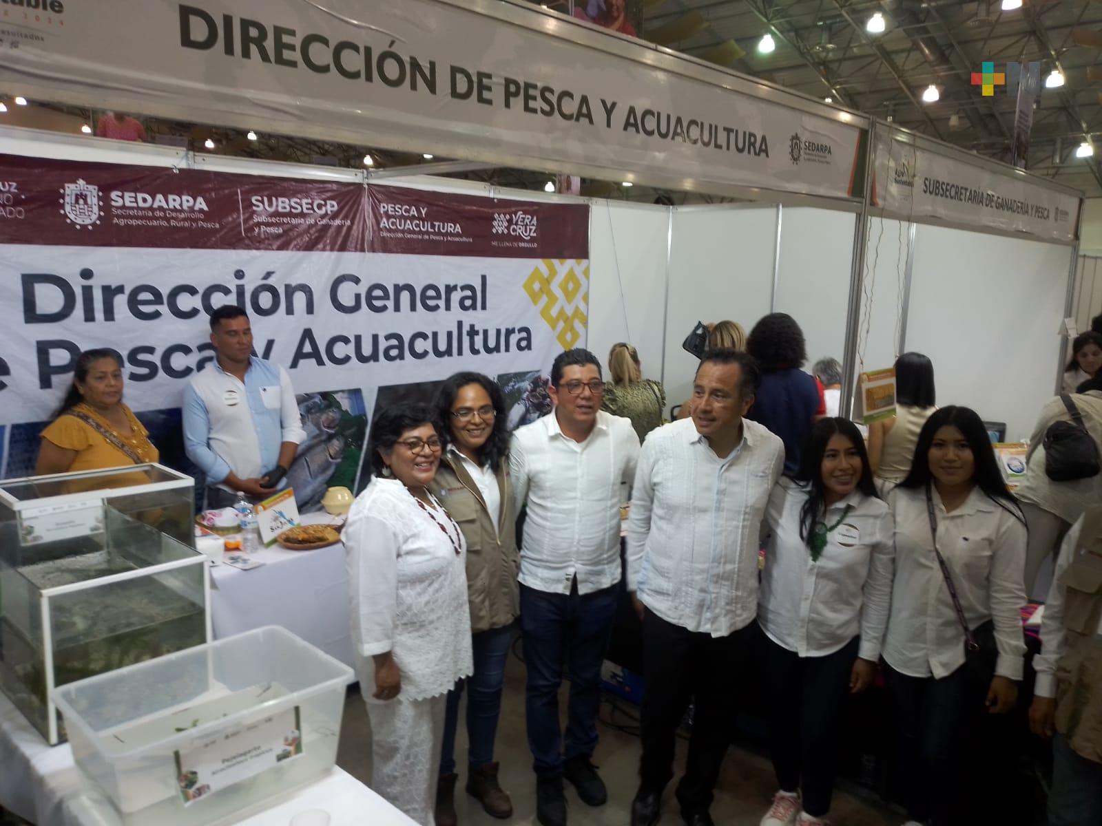 Veracruz está cosechando con grandes resultados, afirma Cuitláhuac García