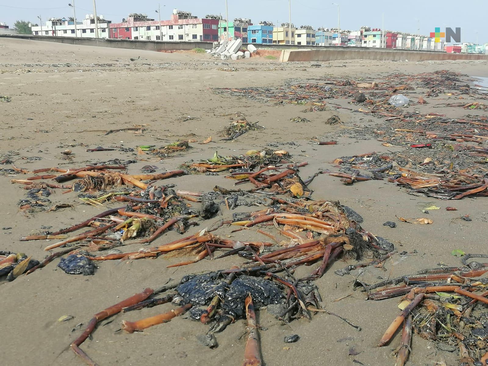 Piden a bañistas evitar contacto con hidrocarburo que apareció en costa de Coatza