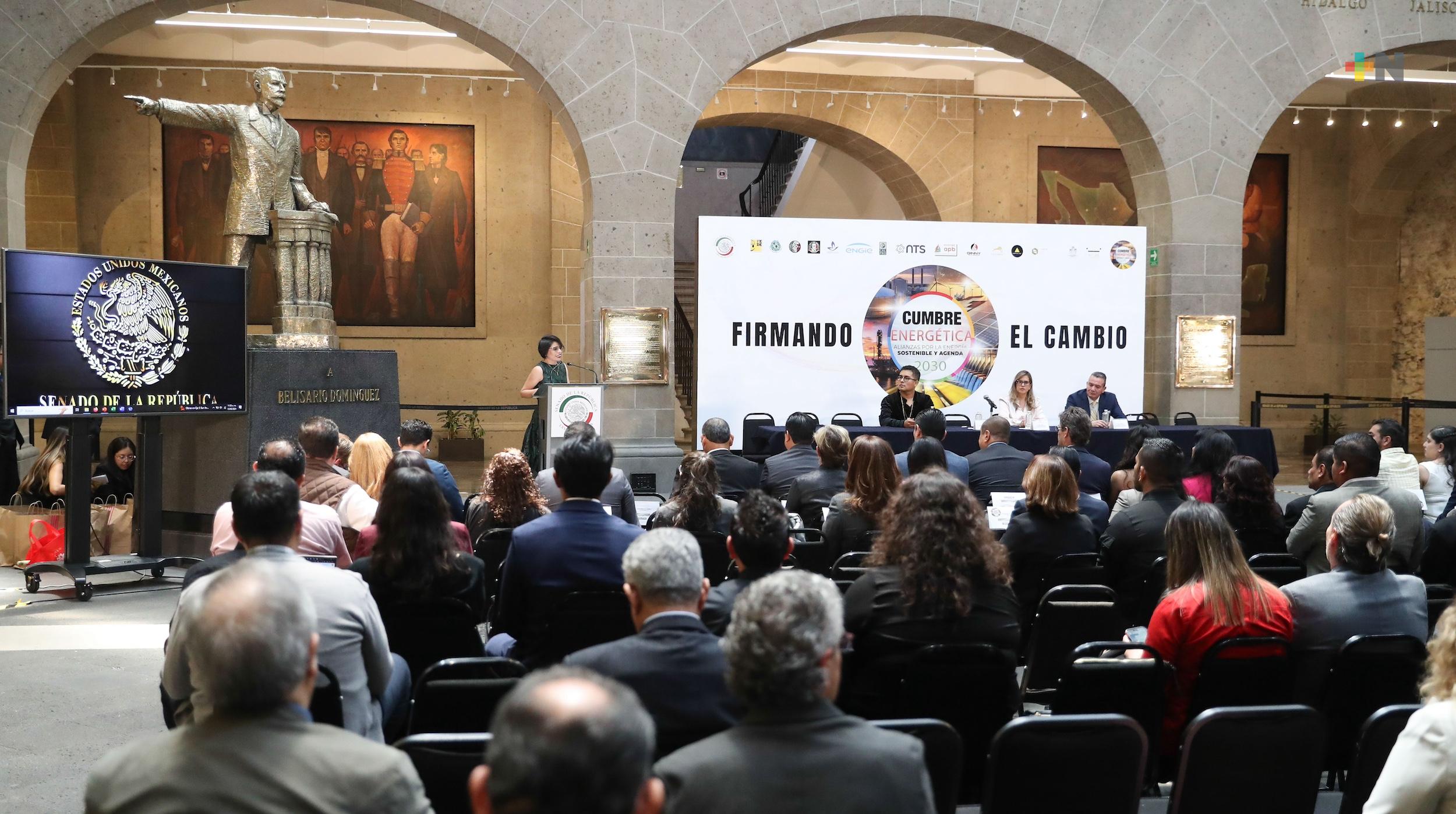 Impulsar transición energética ayudará a reducir costos de producción en el campo, destacan en el Senado