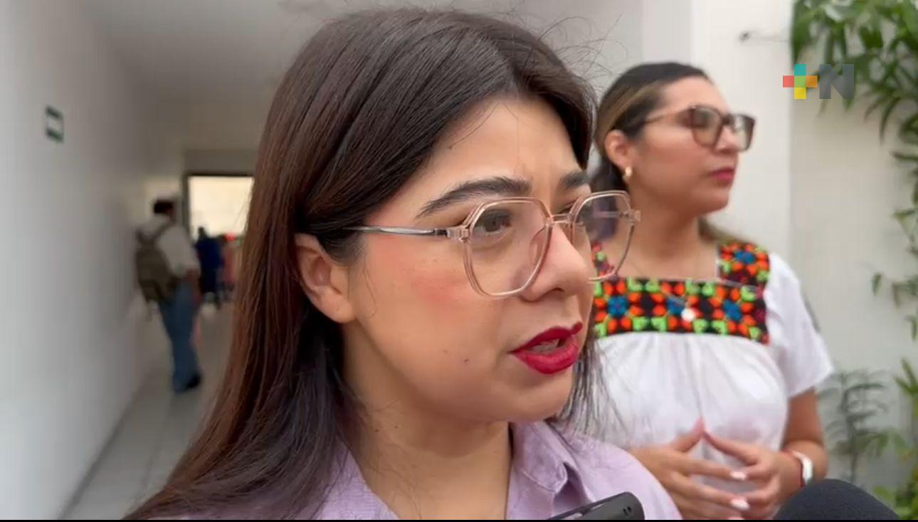 Veracruz, entre los cinco estados con menos desocupación laboral: Dorheny Cayetano