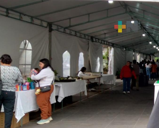 Jóvenes emprendedores ofrecen sus productos en parque de Coatepec