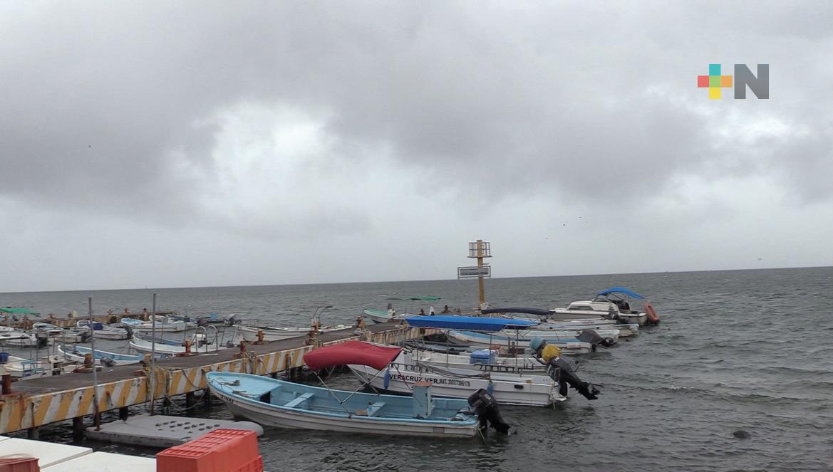 Disminuye producción pesquera por lluvias y ondas tropicales en Veracruz puerto