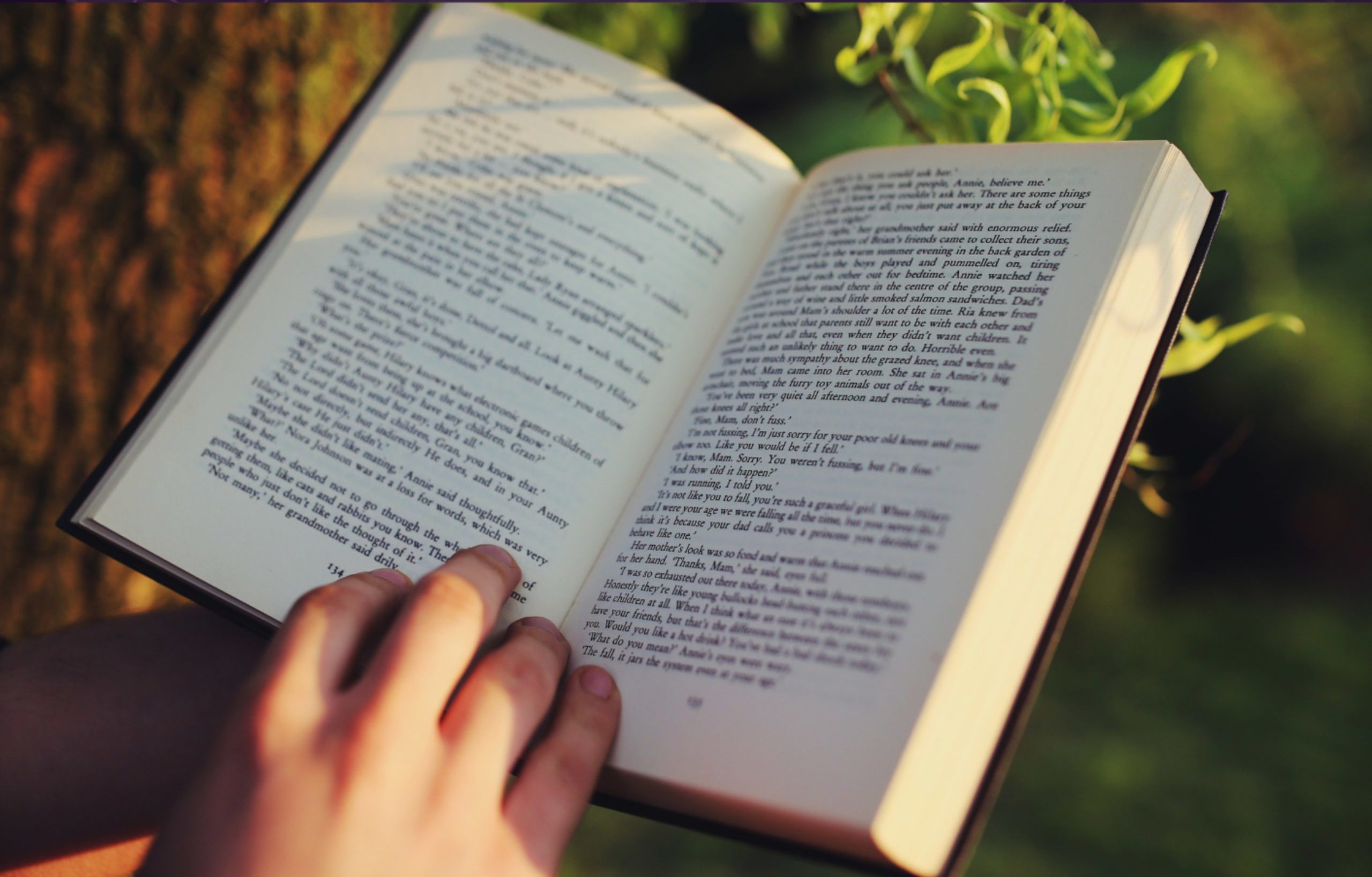 Libro impreso sigue vigente a pesar de la demanda en lo digital