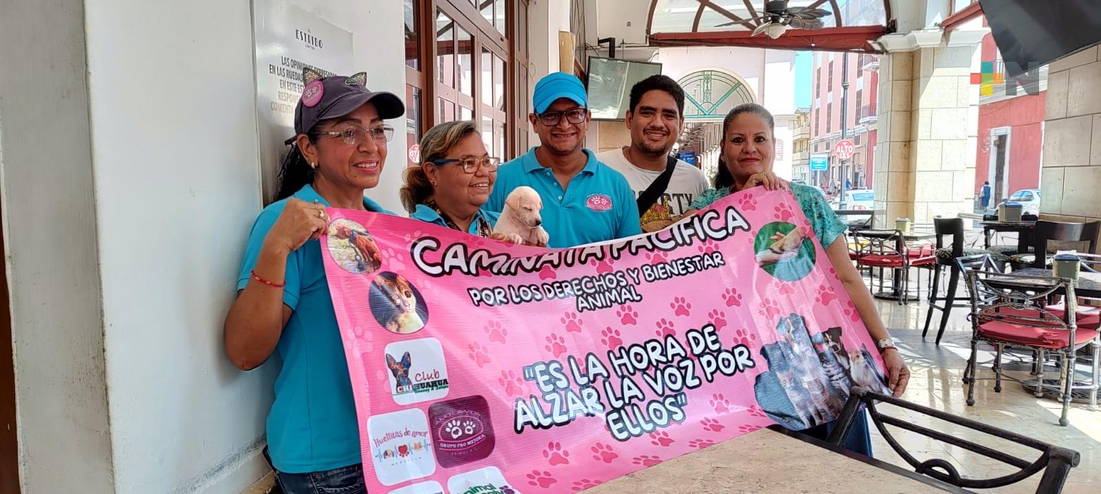 Domingo 25 de agosto marcha pacífica contra el maltrato animal en Veracruz puerto