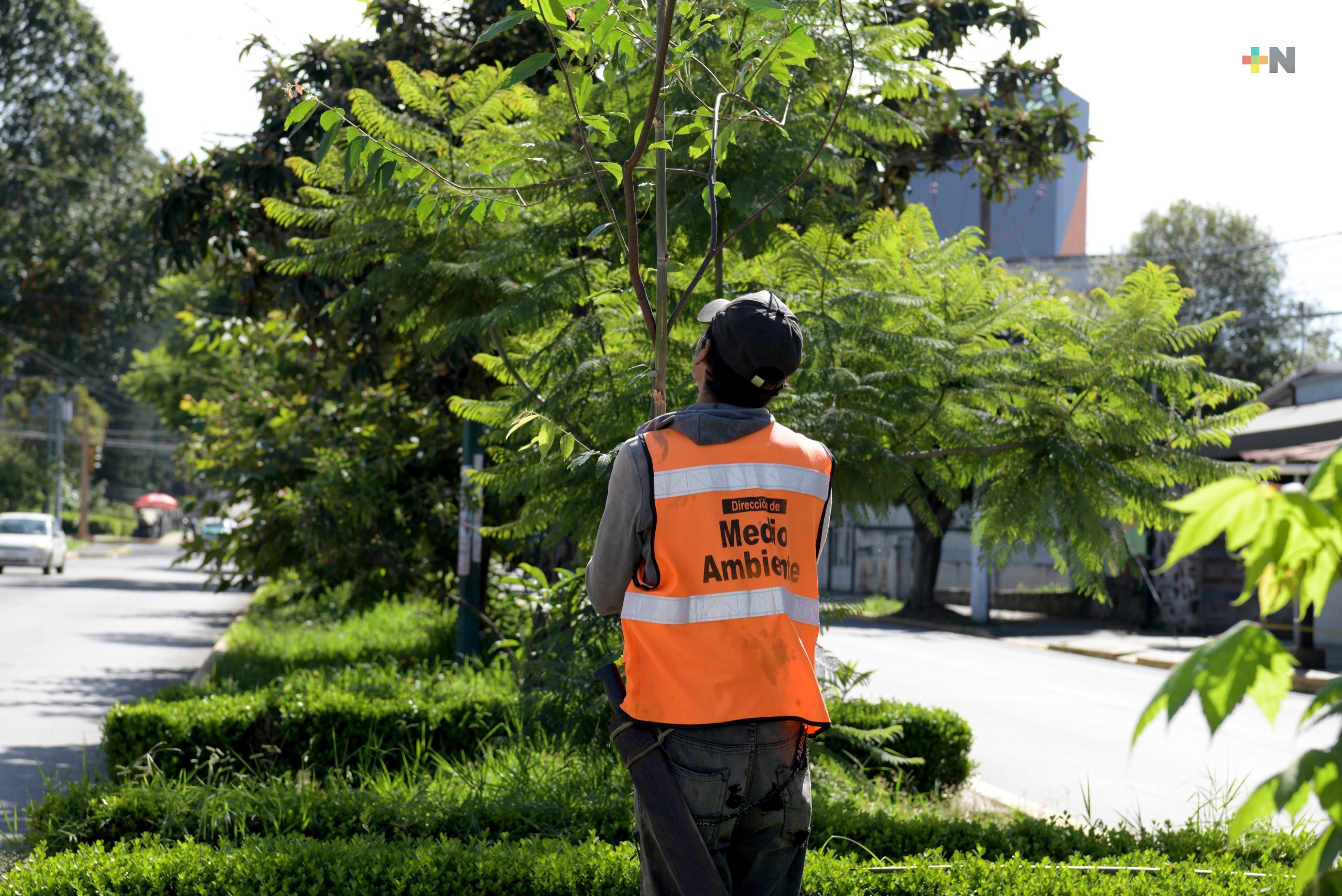 Realizan jornada de mantenimiento de áreas verdes en Xalapa