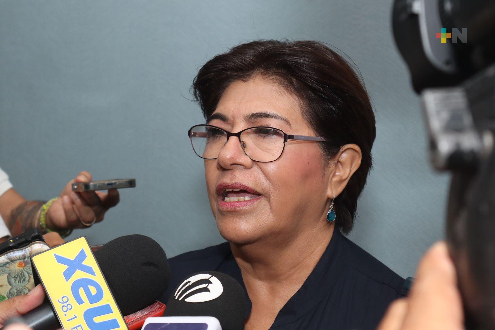 Con Rocío Nahle, la protección de los periodistas de Veracruz está garantizada: Rosa María Hernández