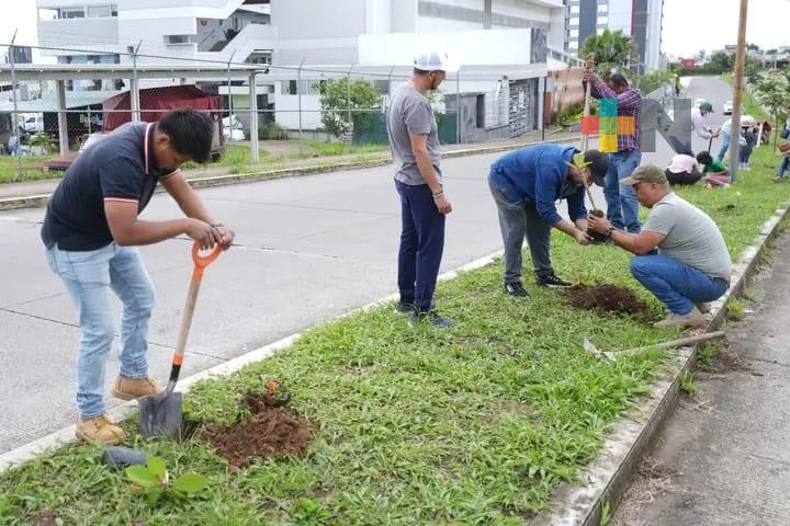 Árboles deben sembrarse en espacios sin dañar estructuras en calles y hogares