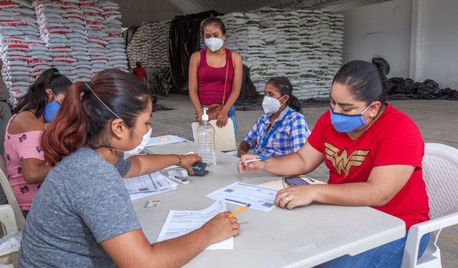Supera Agricultura dos millones de beneficiarios con Fertilizantes para el Bienestar