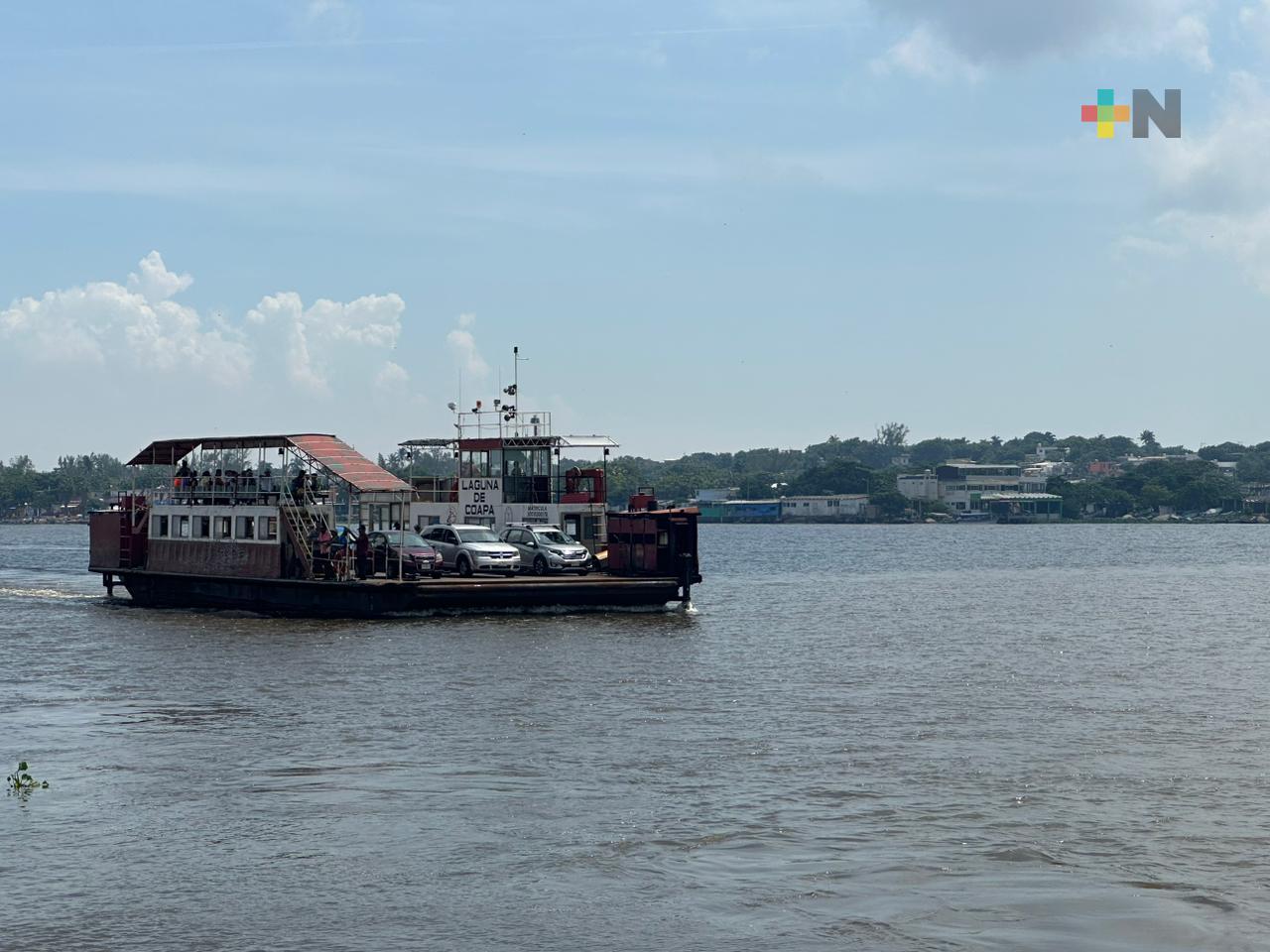 Lirio acuático y palotada suspenden brevemente servicio de transbordador en Coatza