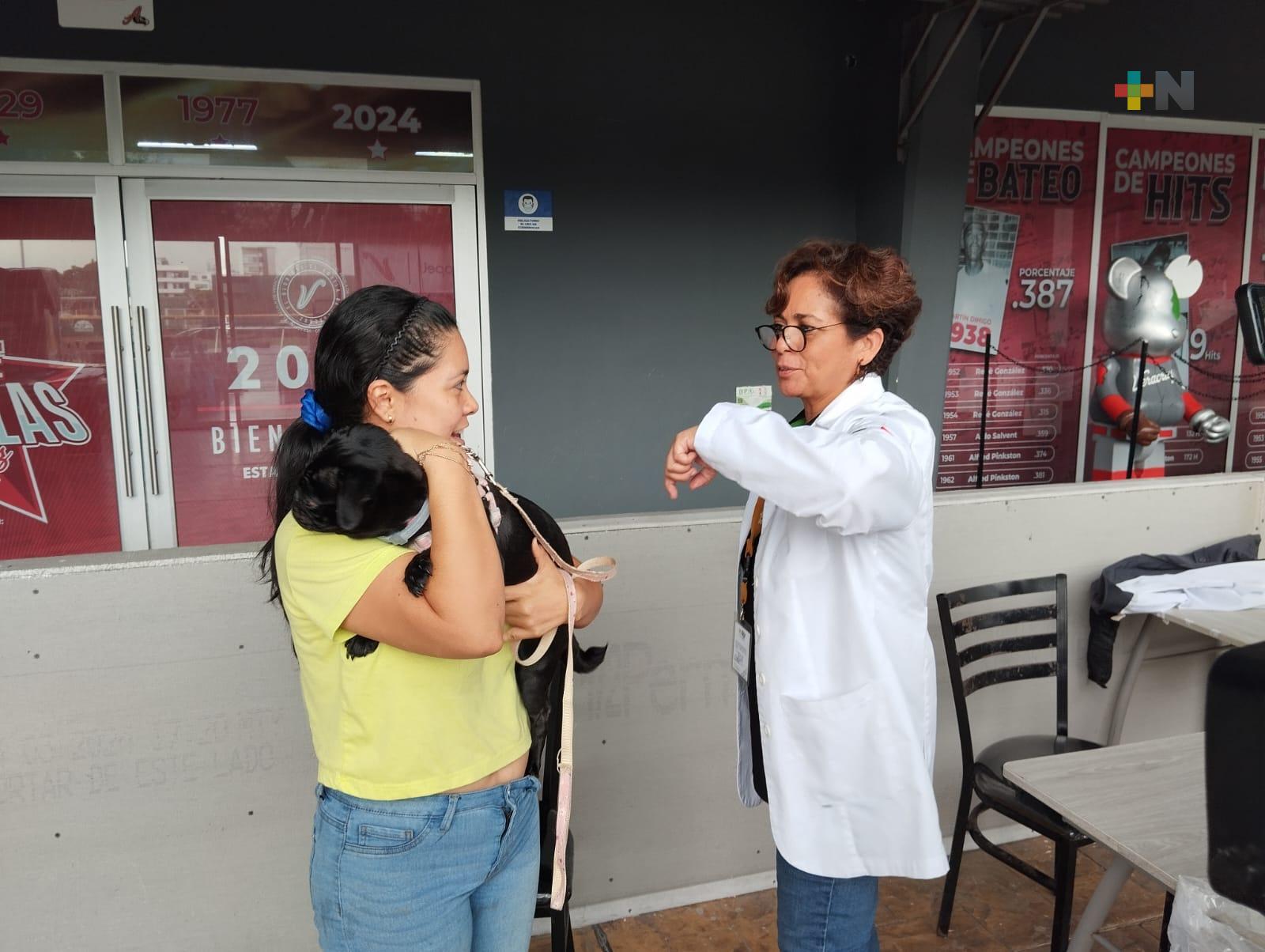 Se lleva a cabo vacunación antirrábica en  estadio «Beto Ávila»
