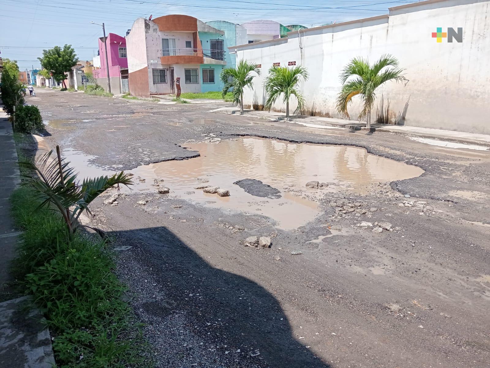 Grandes baches «embellecen» avenidas en Fraccionamiento Torrentes de Veracruz