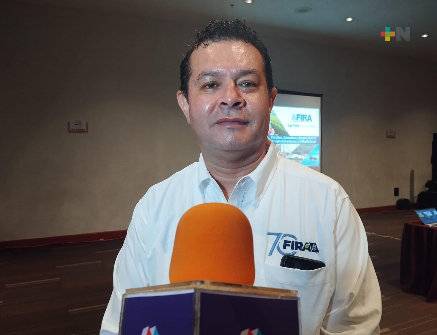 Agricultores veracruzanos optimizan la asistencia técnica sostenible: Herrera Durán