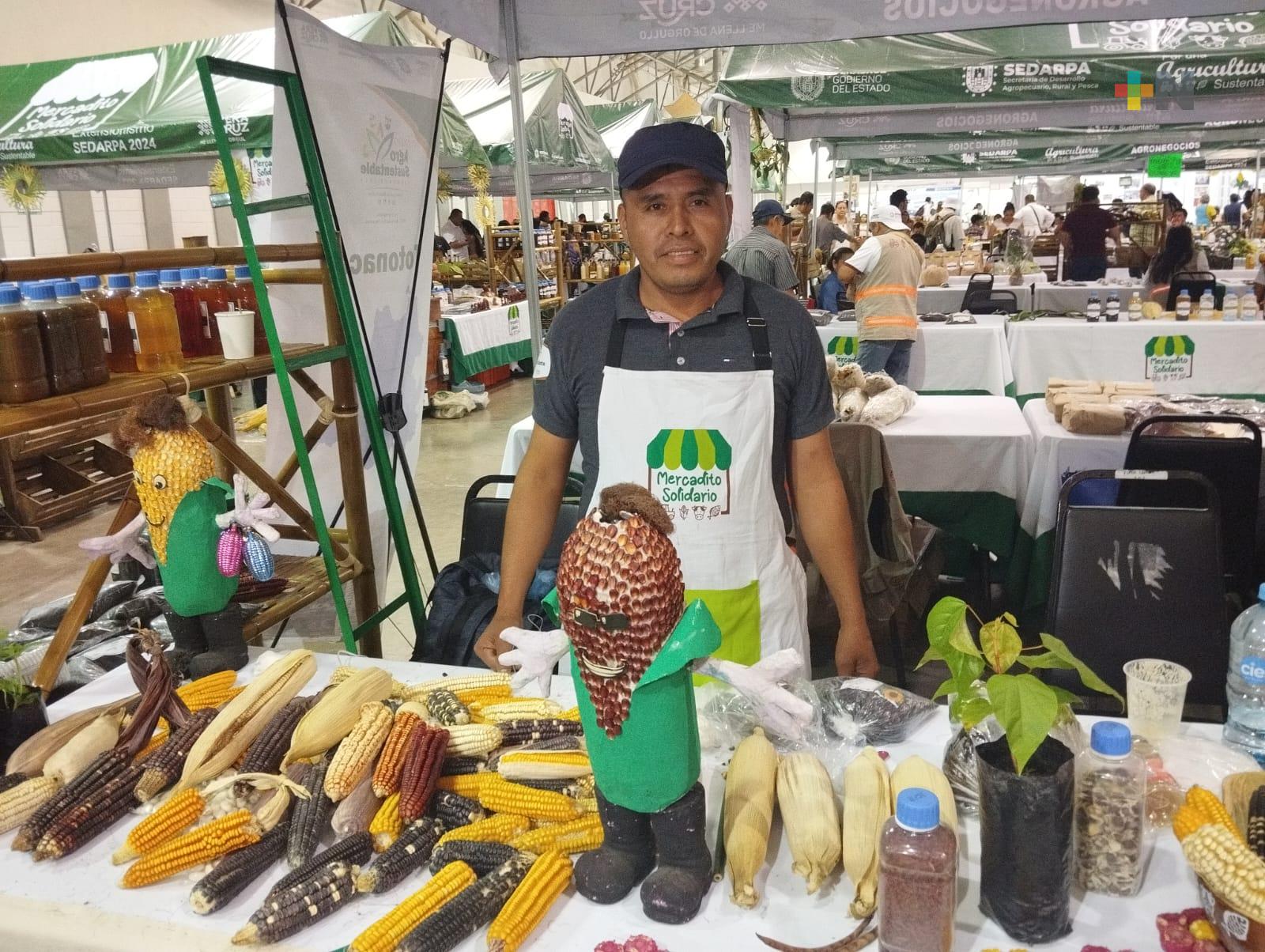 Productores del Totonacapan rescatan producción del maíz criollo