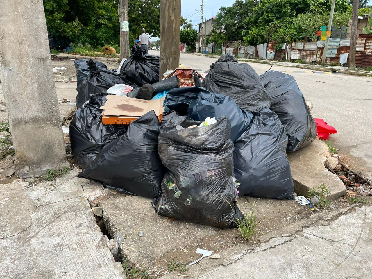 Ciudadanía en Coatzacoalcos adquieren más el hábito de separar la basura