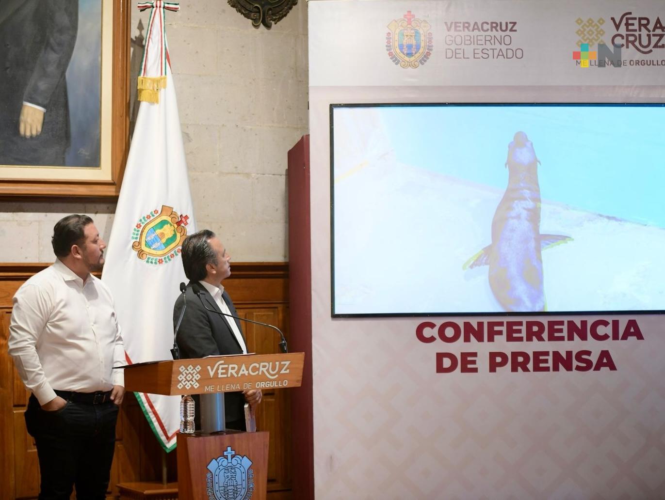 Desde su rescate, se han invertido 490 mdp en el Aquarium del puerto de Veracruz