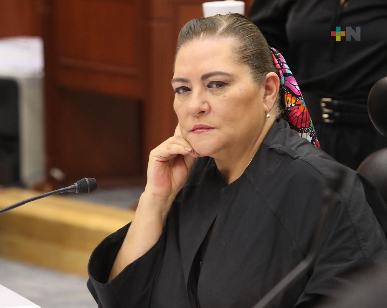 Respetar la Constitución es honrar la democracia y fortalecer a México: Guadalupe Taddei