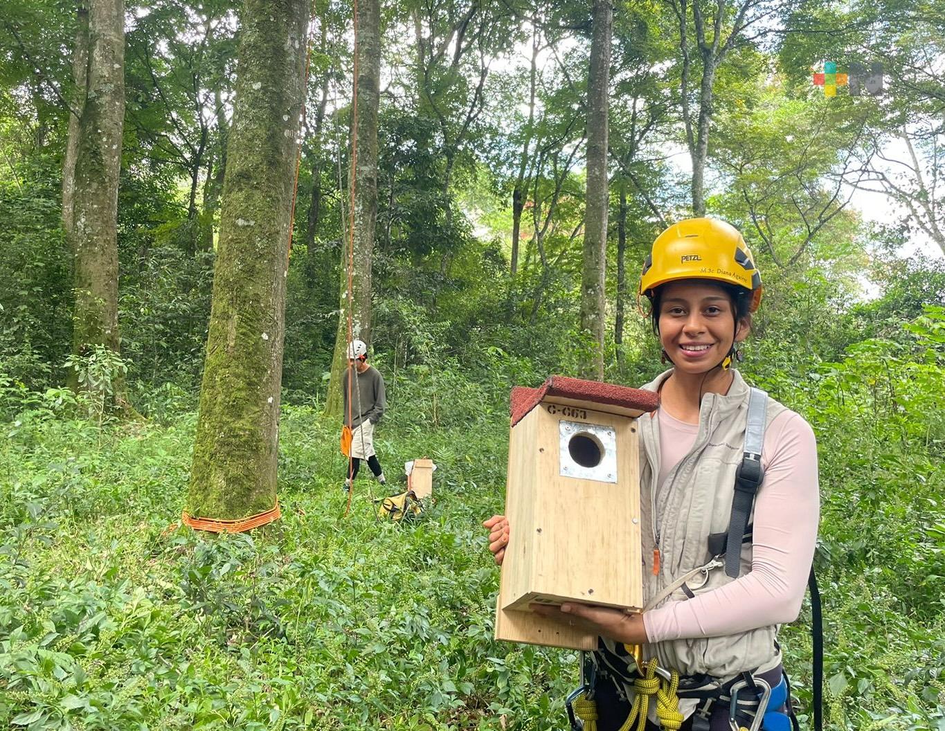 Unidad de Manejo para la conservación de la vida silvestre «La Coruja» instala refugios para aves en el Cerro de la Galaxia