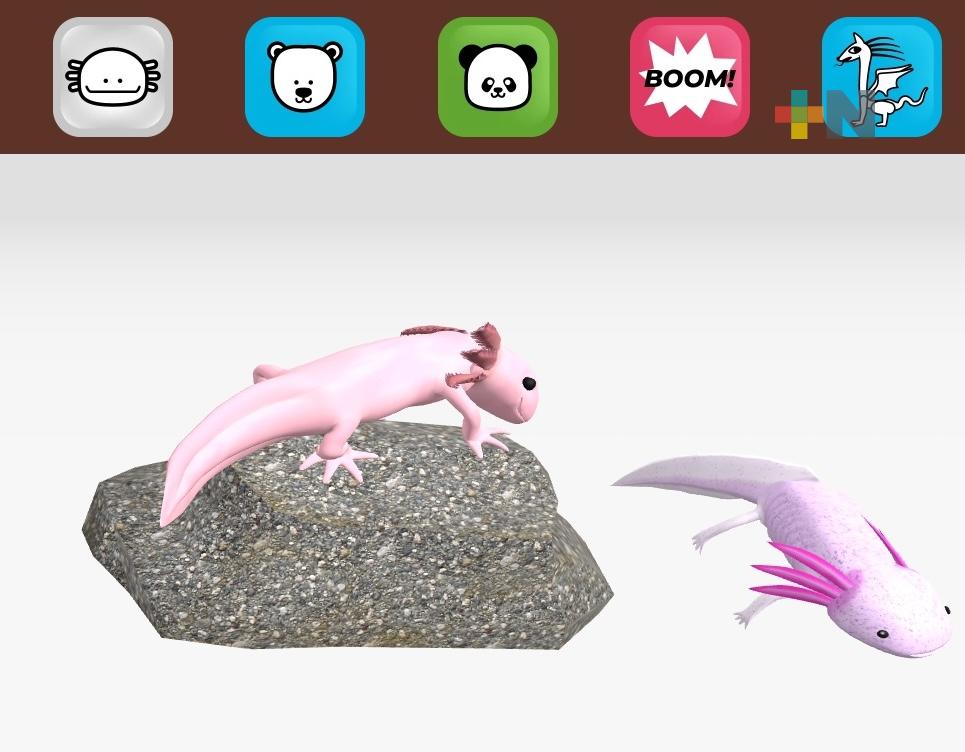 Nantlico: la aplicación veracruzana que refuerza contenidos de nivel básico