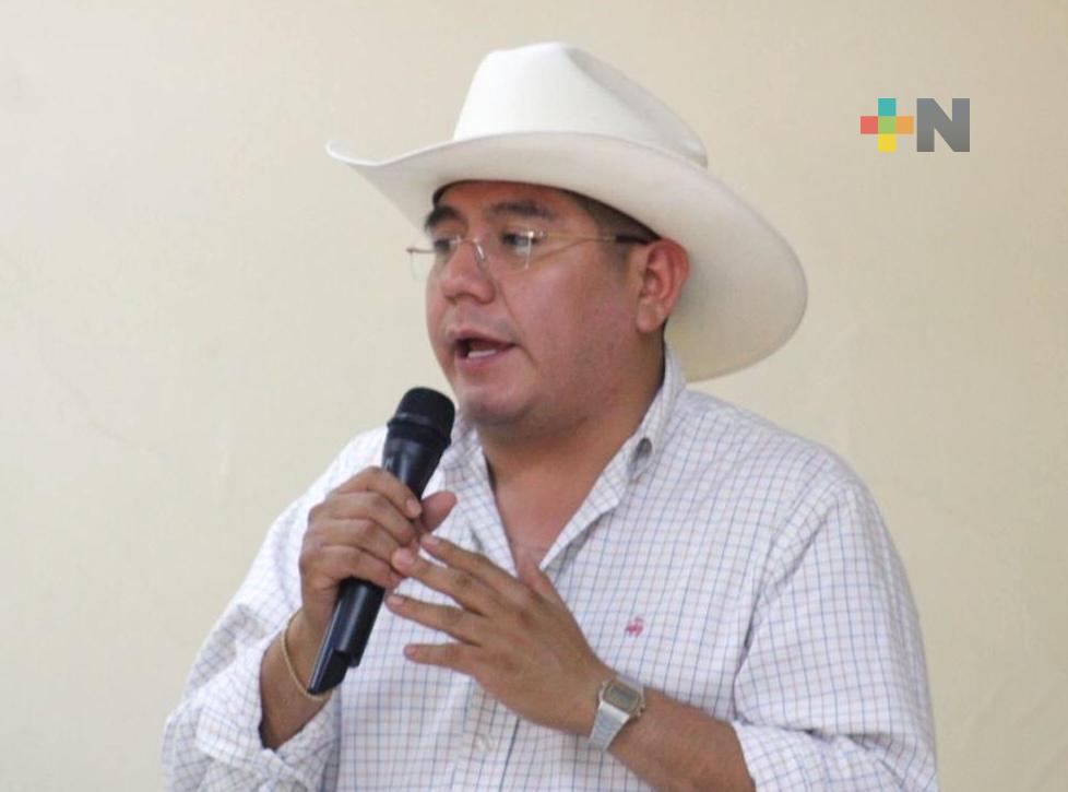 Morena renovará presidencia nacional y la Secretaría general el 22 de septiembre: Esteban Ramírez