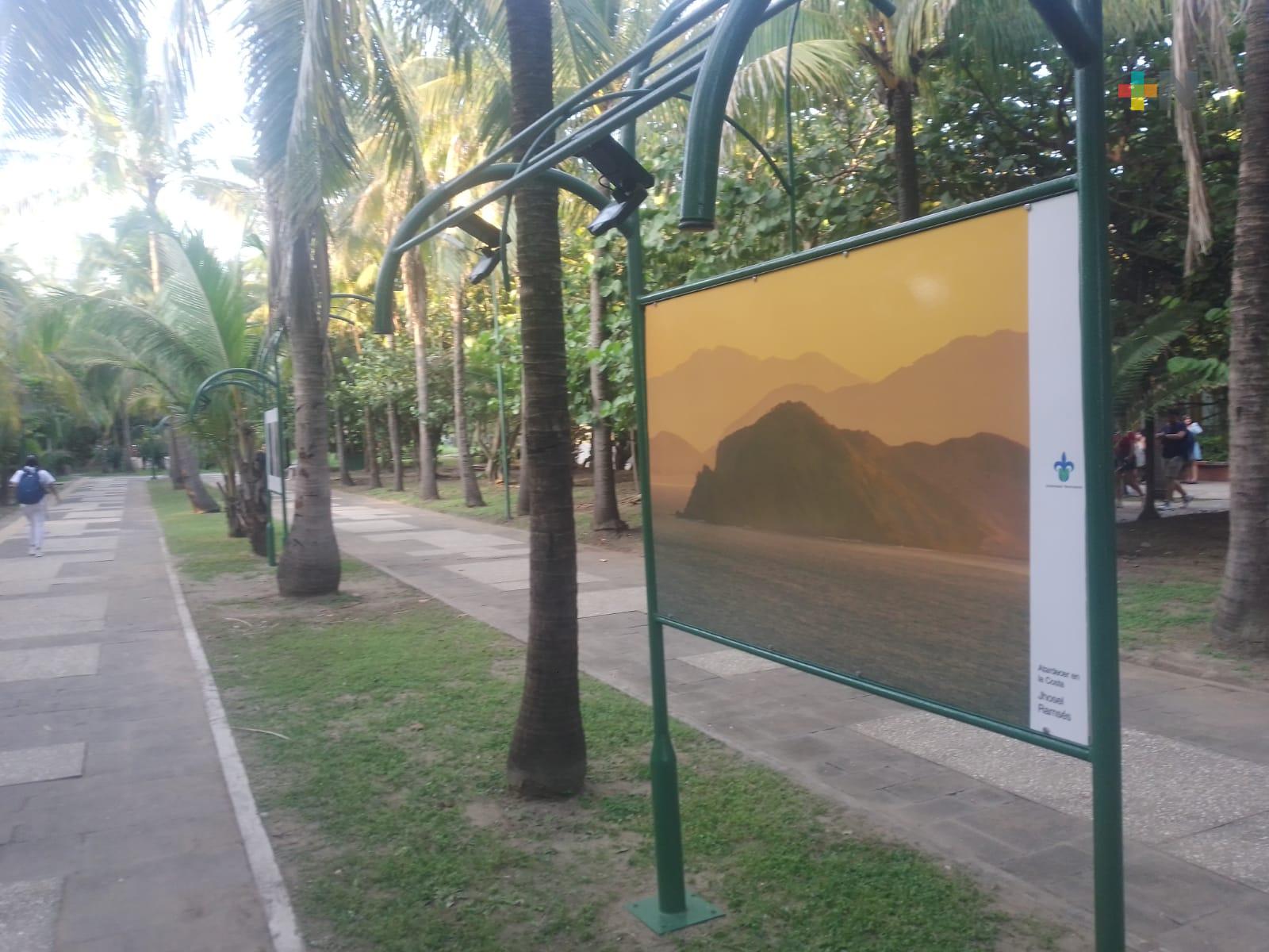 UV Región Veracruz inaugura «Corredor Artístico»