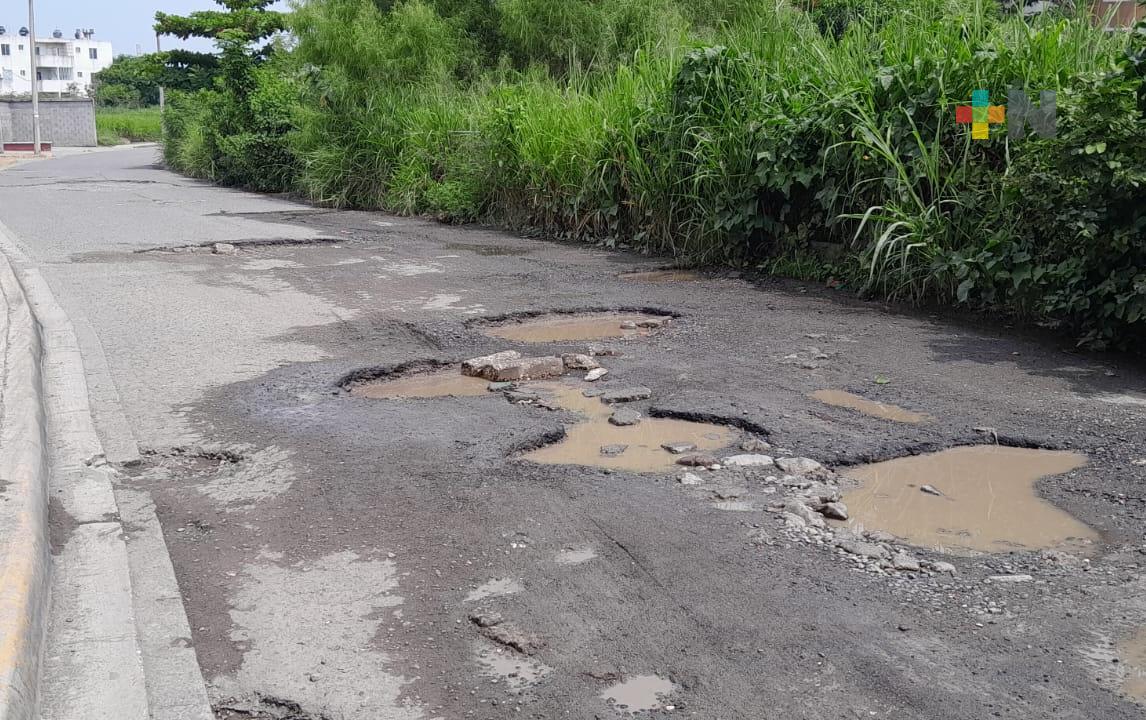 Aumentan baches en fraccionamiento del puerto de Veracruz; ayuntamiento sin atender reporte