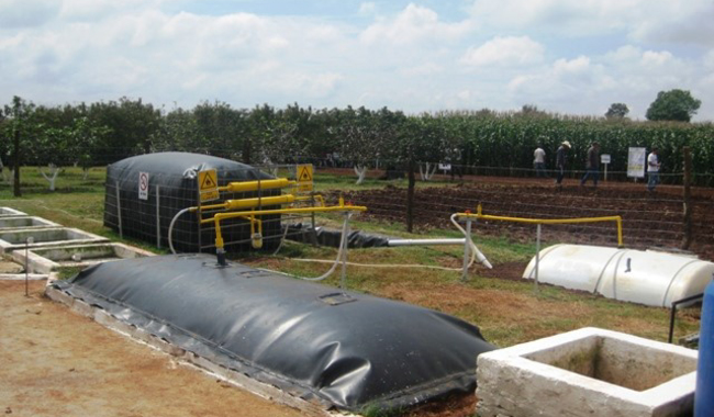 Promueve Agricultura tecnología para tratamiento de residuos de granjas porcícolas