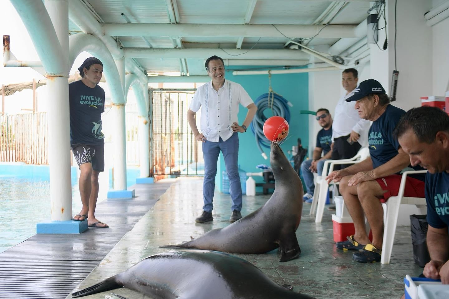 Veracruz se prepara para inaugurar el Lobario marino